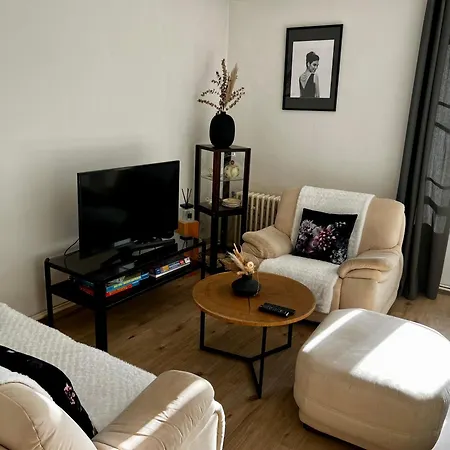 Utulny Apartman V Historickem Centru Mesta Pisek Exterior photo