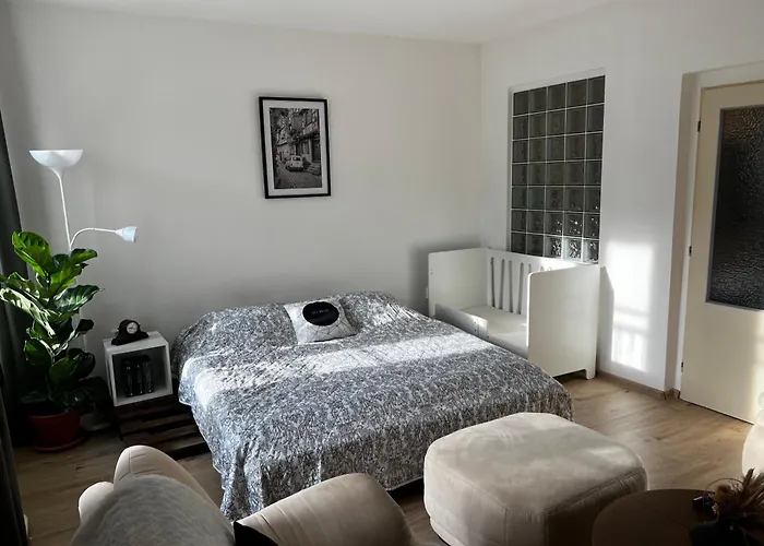 Utulny Apartman V Historickem Centru Mesta Pisek